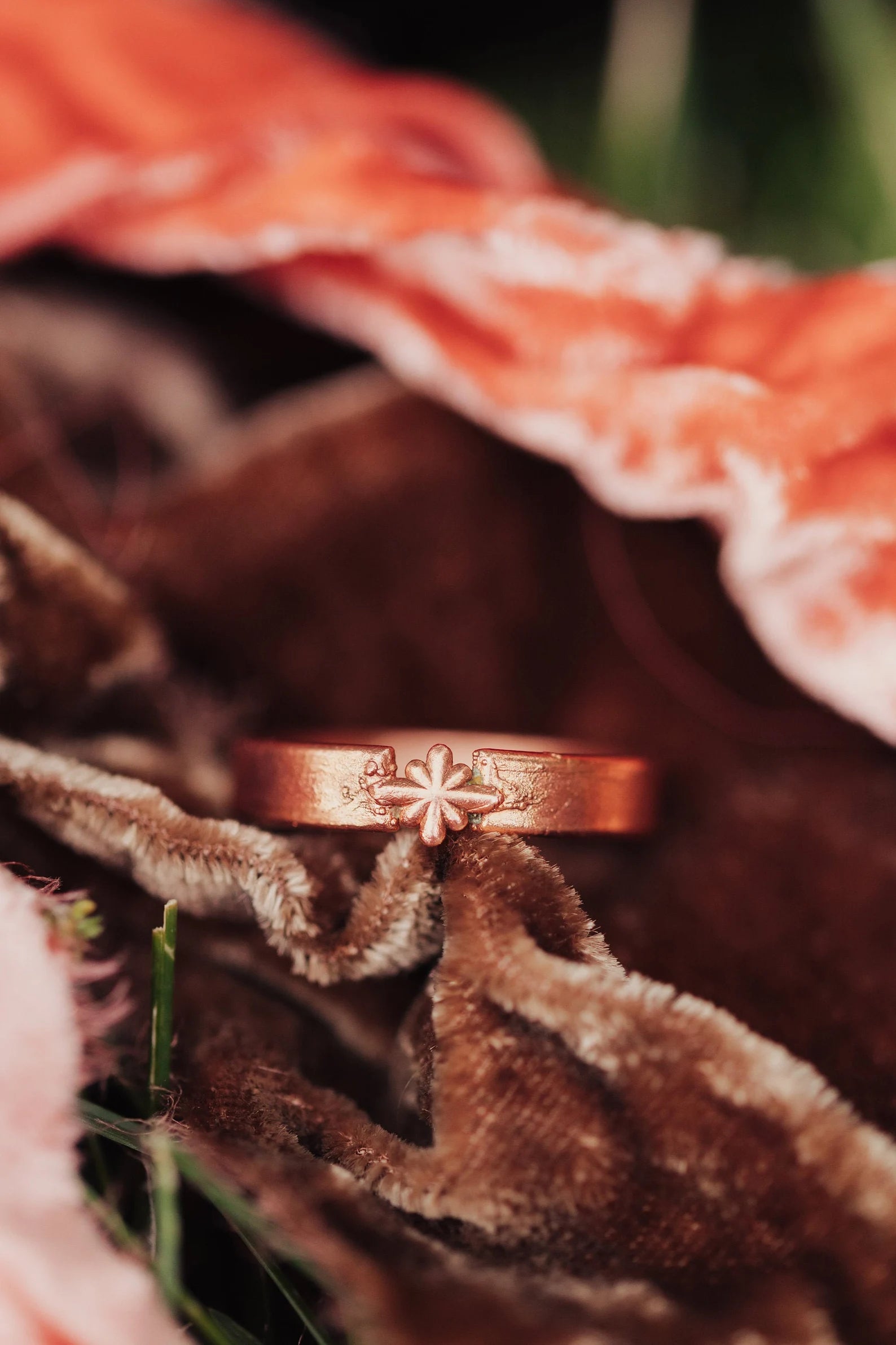 Polaris ring