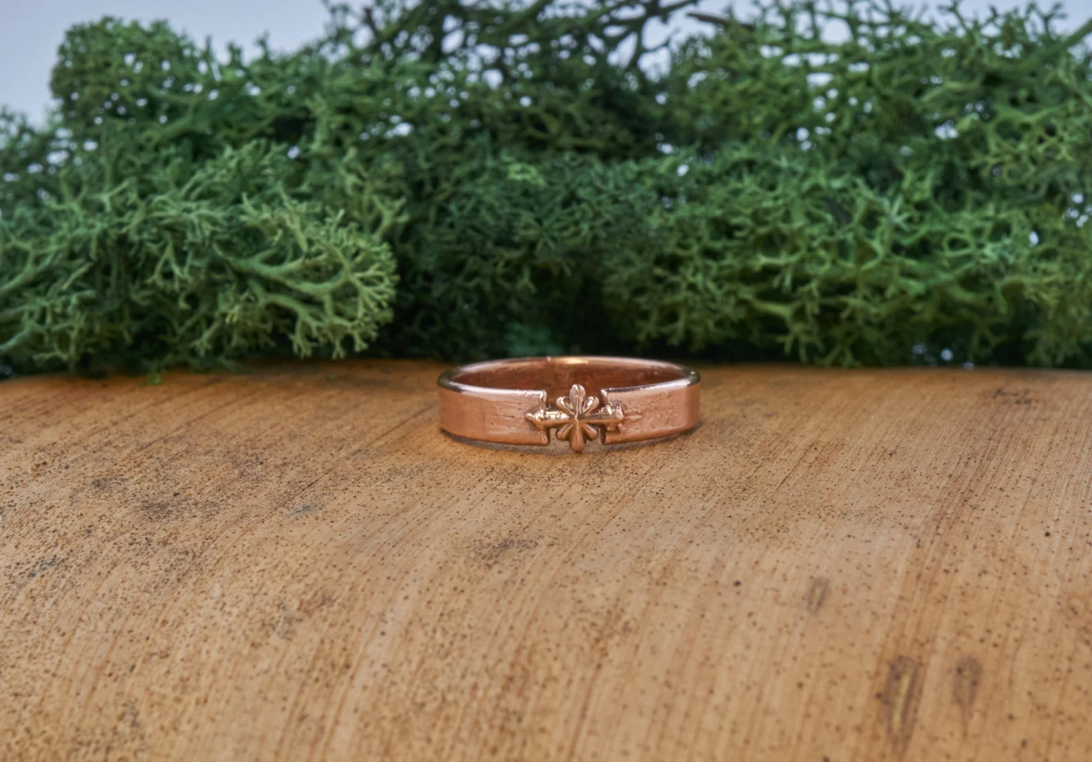 Polaris ring